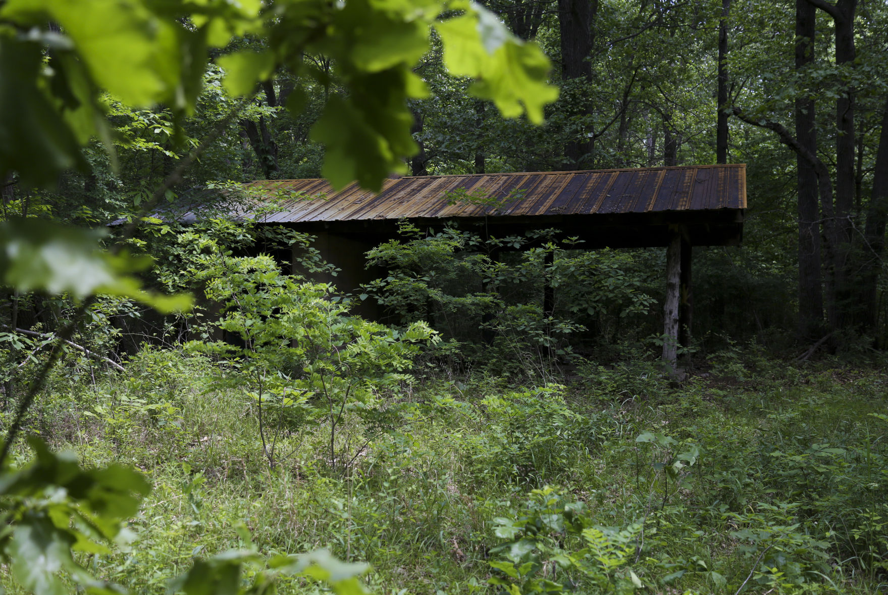 camp scott girl scout murder